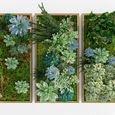 Modern moss green plant wall