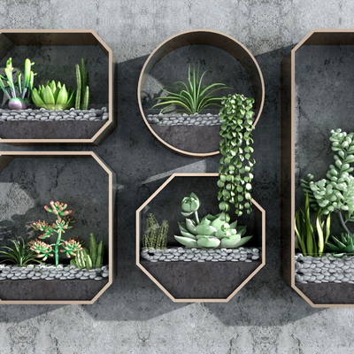 succulent plant wall green plant wall