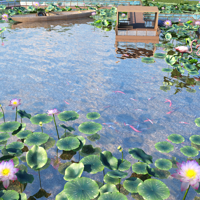 Lotus pond landscape lotus koi