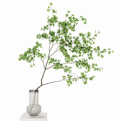 Modern hydroponic plant vase