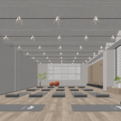 Modern Gym Yoga Studio