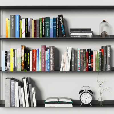 Modern Book Bookshelf