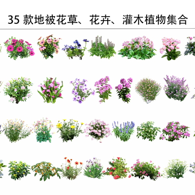 2D Shrub Flower Plants