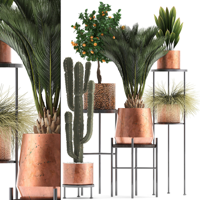 Modern Cactus Palm Grass Green Plant Pot