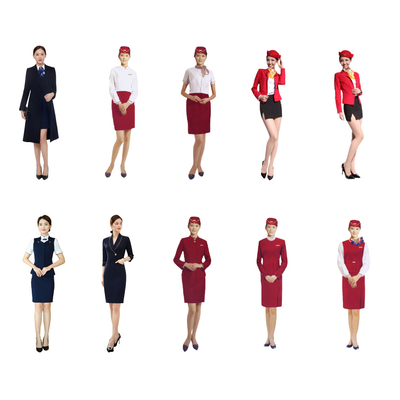 2D Flight Attendant Sales Figure