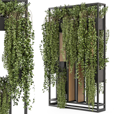 Plant wall plant partition