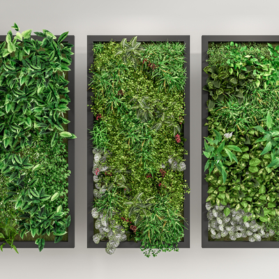 plant wall moss wall plant wall