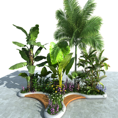 Tropical Plants