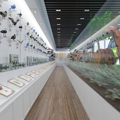 Modern Animal and Plant Specimen Exhibition Hall