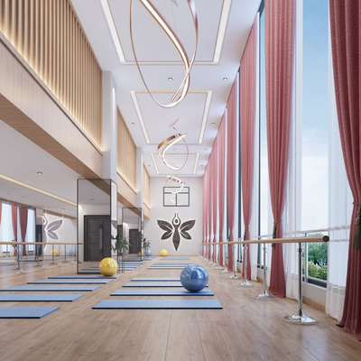 Modern Yoga Studio Dance Room Meditation Room