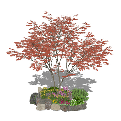 Maple Green Planting Flower Pond Tree Pond