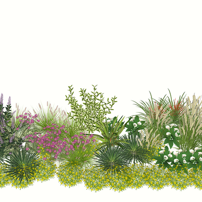 Flowers and grass bushes