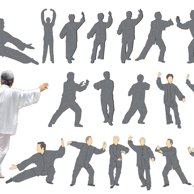 New Chinese Taijiquan Taiji figure 2d component