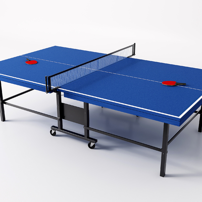 Modern Table Tennis Billiard Table