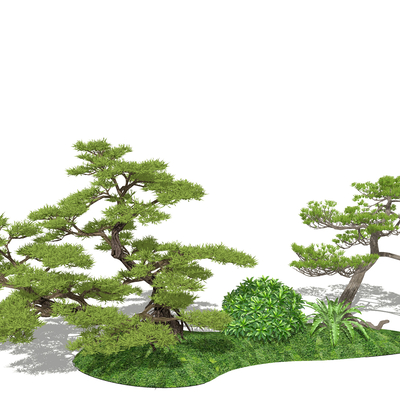 Neo-Chinese Style Luohan Pine Landscape Tree