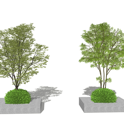 Modern landscape modeling tree pool