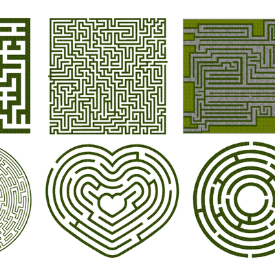 Modern gardening plants hedge maze