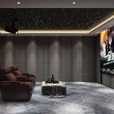 Private Cinema Modern Video Room