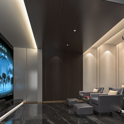 European-style Video Room Private Cinema