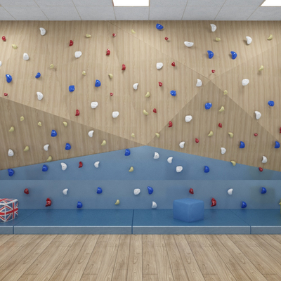 Modern Climbing Room