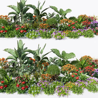 Flowers and plants travel banana flower border