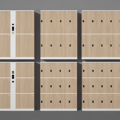 Wardrobe Storage Cabinet Locker Locker Locker