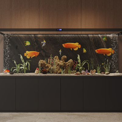 Fish tank aquarium