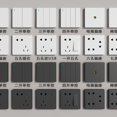 Switch socket single control network socket