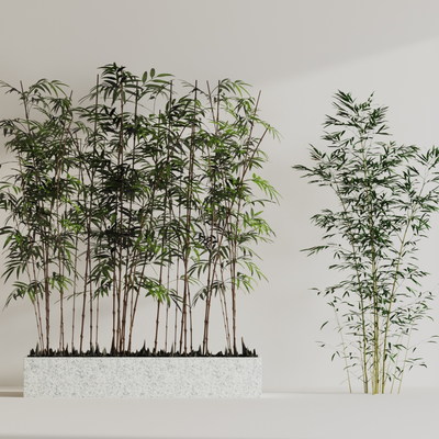 Bamboo bonsai flower bed