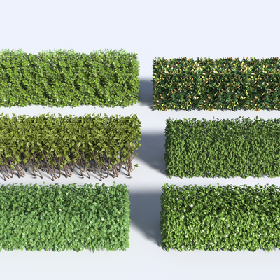 Modern Hedge Greening