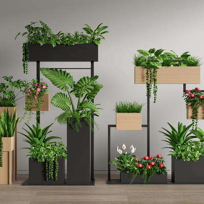 Green Plant Flower Box