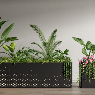 Green Plant Flower Box