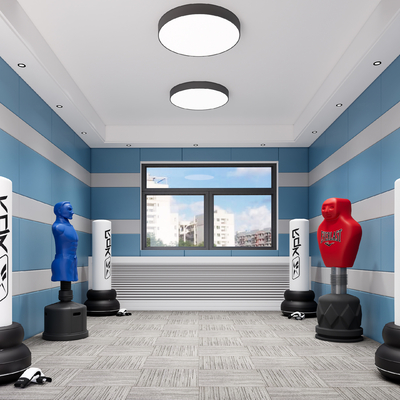 modern gym boxing room