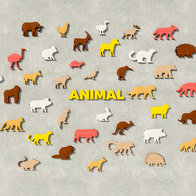 Animal Wall Decorations Animal Sticker