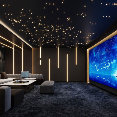 Audio-visual room Audio-visual room Home theater