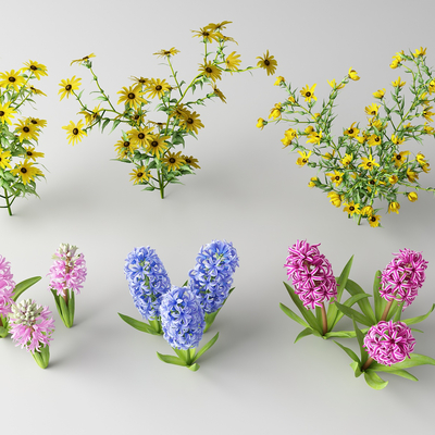 Modern flowers and wild flowers