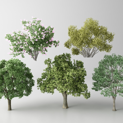 Modern Landscape Trees