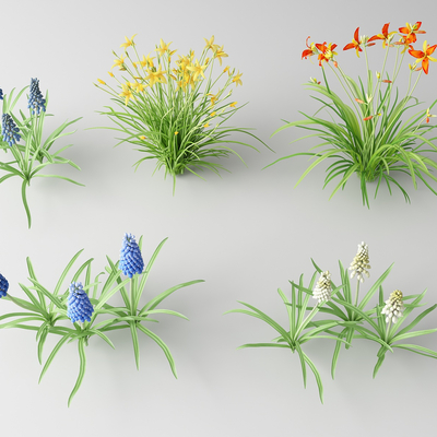 Modern flowers and wild flowers