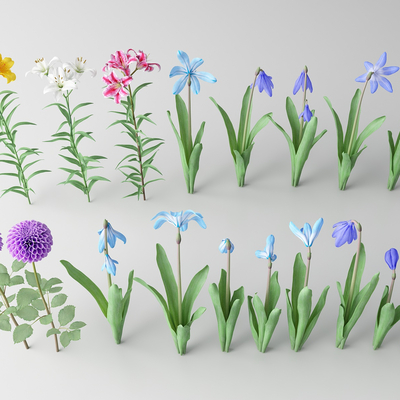 Modern flowers and wild flowers