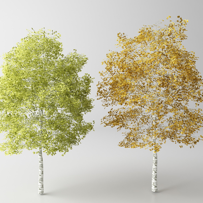 Landscape Trees Trees Arbor