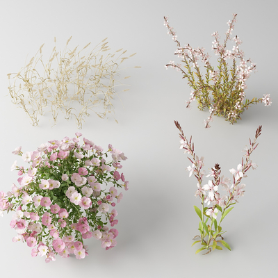 Modern flowers and wild flowers