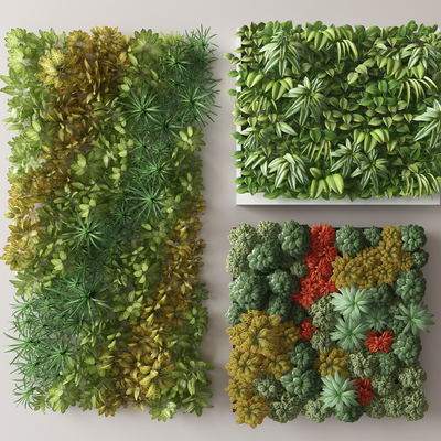 plant wall moss wall