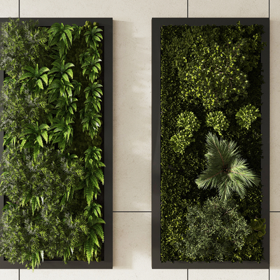 moss green plant wall