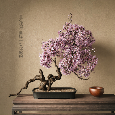 Plum Blossom Bonsai