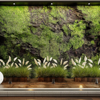 Modern moss plant wall