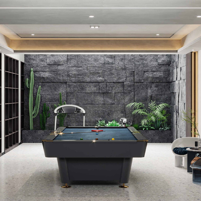 Modern Billiard Room