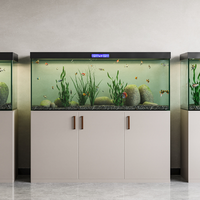 Fish tank aquarium