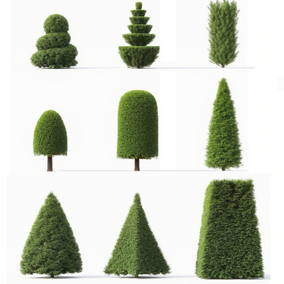 modeling green plant landscape tree shrub