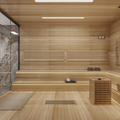 Modern Bath Sauna Room