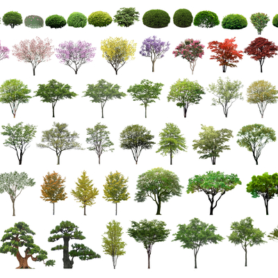 Landscape Tree Hedgerow Tree 2D Component